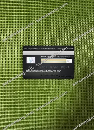 Chile Banco de Chile bank visa card photolook back